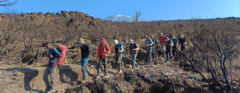 Editing the Ascent: What Kilimanjaro Teaches About Refining the Human Story