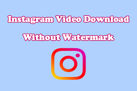 Download Video from Instagram – Free HD MP4 Tool for Reels & Posts